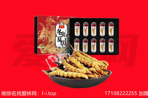 固镇县回收虫草.jpg